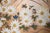 "Autumn Flowers", 1970s Showa Era Japanese Painted Byobu Screen For Sale - Image 10 of 18
