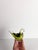 Chartreuse Green Murano Glass Dove Sculpture from Seguso Vetri Darte, 1960s For Sale - Image 6 of 10