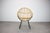 Wood Rattan Lounge Chair by Alan Fuchs for Uluv, Former Czechoslovakia, 1960s For Sale - Image 7 of 13