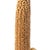 Gold French Hollywood Regency Maizieres Corn Cob Lamp from Le Dauphin, 1970s For Sale - Image 8 of 11