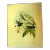 1940s Gould Hummingbird Lithograph, Heliodoxa Jacula. Green Crowned Brilliant For Sale