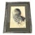 1950s Signed Mid‑Century Ink Portrait by Falk – Expressive Figurative For Sale