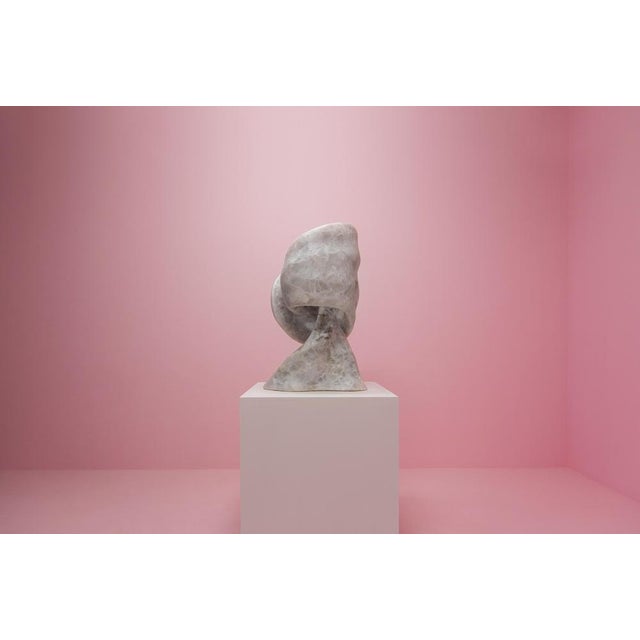 Aqua Fossil Sculptural Table Light in Alabaster and Resin by Amarist Studio For Sale - Image 11 of 14