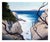 Detailed seascape of an ocean view framed by rocks and tree branches at Point Lobos, California by Max Flandorfer...
