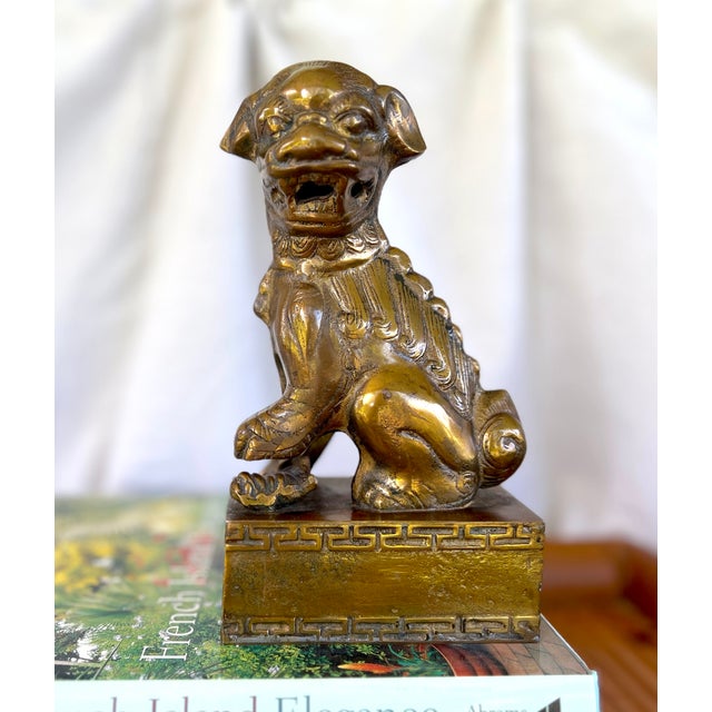 Mid 20th Century A Pair of Large Brass Foo Dog Bookends For Sale - Image 5 of 9