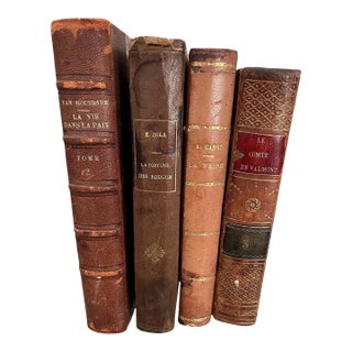 Antique French Leather Bound Books- Set of 4 For Sale