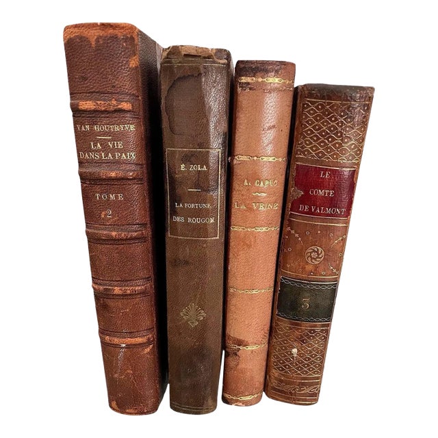 Antique French Leather Bound Books- Set of 4 For Sale