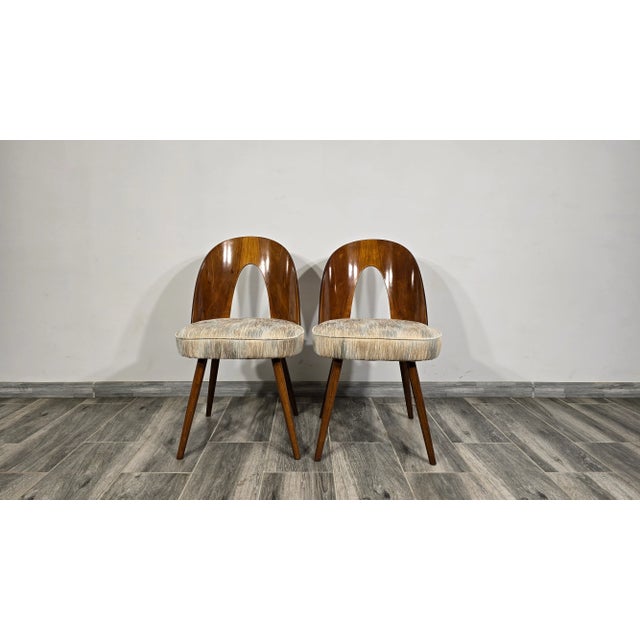 Dining Chairs by Antonin Suman, 1960s, Set of 2 For Sale - Image 13 of 17