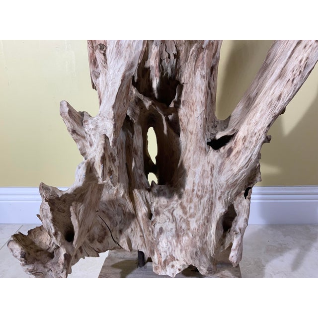 Wood Large Natural Abstract Driftwood Sculpture For Sale - Image 7 of 12