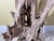 Wood Large Natural Abstract Driftwood Sculpture For Sale - Image 7 of 12