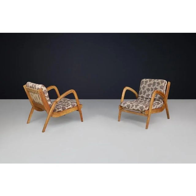 Curved Easy Chairs in Ash with Original Upholstery by Jan Vaněk, Cz, 1950s, Set of 2 For Sale - Image 4 of 11