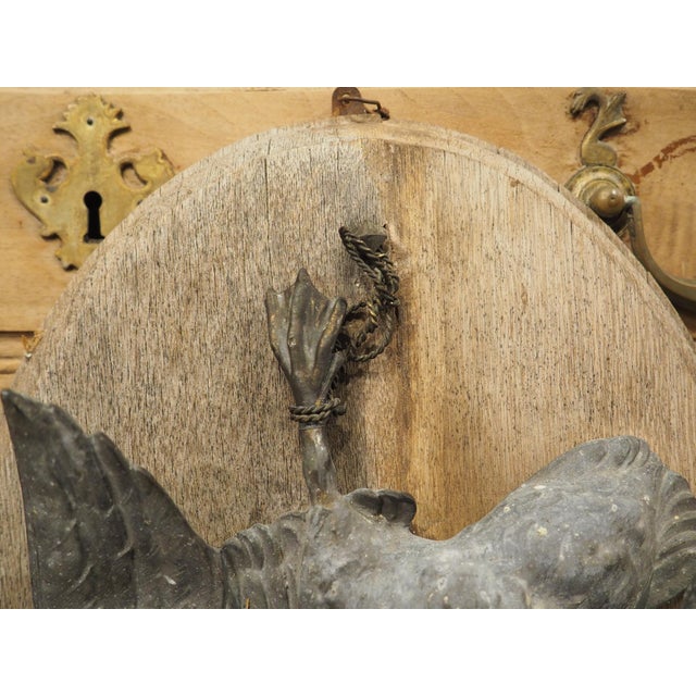 Pair of Circa 1890 Weathered French Hunt Trophies on Natural Oak Oval Panels For Sale - Image 10 of 18