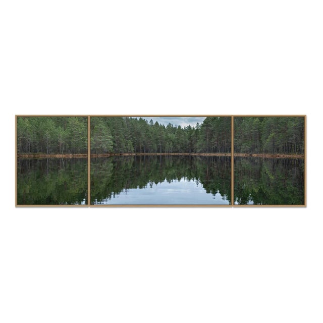 "Deep_Mirroring_Forest_014" Triptych, Limited Edition Fine Art Photograph by Bernhard Lang, Set of 3 For Sale - Image 4 of 7