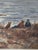 Paint John Henry Hill (1839-1922) Original Coastal Landscape W/ Figures C.1900 For Sale - Image 7 of 12