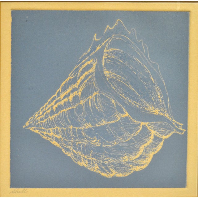 Nautical Seashell Pencil Painting in Beige on blue Paper. Brushed Chrome Frame for secure hanging. Titled Shell, and Art...