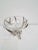 Contemporary Serving Bowl on Nickel Deer Antler Stand For Sale - Image 3 of 12
