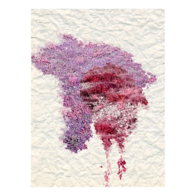 Gianfranco Pezzot Photograph, "IX: Genesi" For Sale