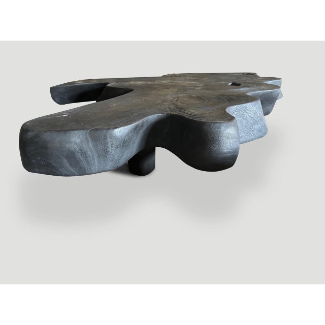 Andrianna Shamaris Amorphous Charred Suar Wood Coffee Table For Sale - Image 14 of 18