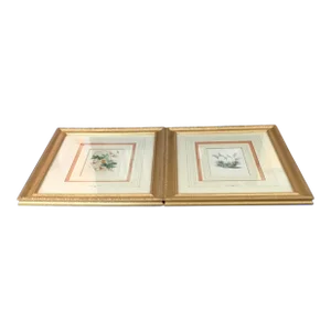 Gold Framed Flores De Sevres Botanical Flowers a Pair