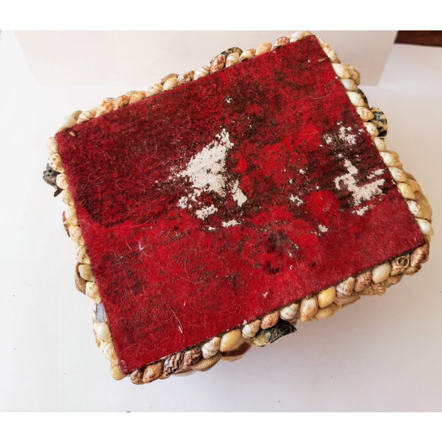 Vintage Coastal Encrusted Shell Box For Sale - Image 4 of 12