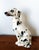 Vintage ceramic Dalmatian sculpture, Italian work circa 1970. Dog sitting on its hind legs. In very good condition, with a...