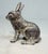 1920s Antique 1920's Cast Iron Bunny Rabbit Animal Still Coin Bank – A.c. Williams For Sale - Image 5 of 9
