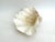 White Large Vintage Clam Shell For Sale - Image 8 of 8