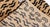 Modern Tiger Rug by Doris Leslie Blau For Sale - Image 9 of 9