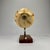 Art Deco Wood and Marble Glass Table Lamp, 1940s For Sale - Image 4 of 8