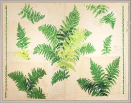 Example of Paule Marrot Reproduction Prints