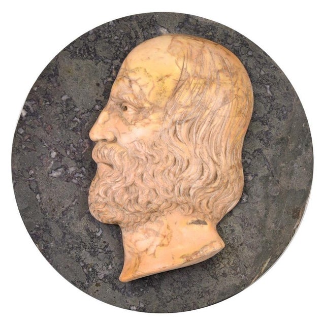 Ancient Marble Bas-Relief with Portrait of Giuseppe Garibaldi, Late 19th Century For Sale - Image 5 of 5