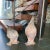 American Mid 20th Century Decorative Terra Cotta Pigeon Set - Set of 2 For Sale - Image 3 of 9