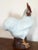 Chinese 18th Century Chinese Export Porcelain Model of a Rooster, Cockerel or Chicken For Sale - Image 3 of 10