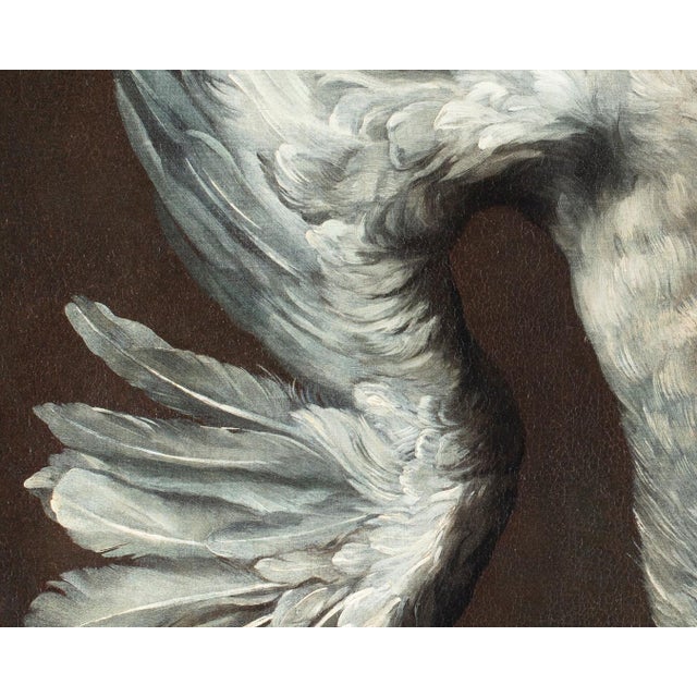 Jean-Baptiste Oudry, White Duck, 1800s, Oil on Canvas, Framed For Sale - Image 9 of 13