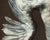 Jean-Baptiste Oudry, White Duck, 1800s, Oil on Canvas, Framed For Sale - Image 9 of 13