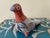 20th Century Mexican Folk Art Hand-Painted Tonalá Bird For Sale - Image 11 of 13
