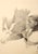 "And Search for Peace" - Rare Signed Figurative Lithograph in Ink on Paper Bold lithograph by Eugene Hawkins (American, b....