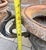 Vintage Ornate Cast Iron Garden Urn Planter With Scroll Handles & Aged Patina For Sale In Los Angeles - Image 6 of 12