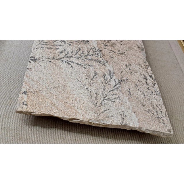 Large 1970s Manganese Oxide Dendrite Slab on Gypsum Matted Framed Rare For Sale In West Palm - Image 6 of 12