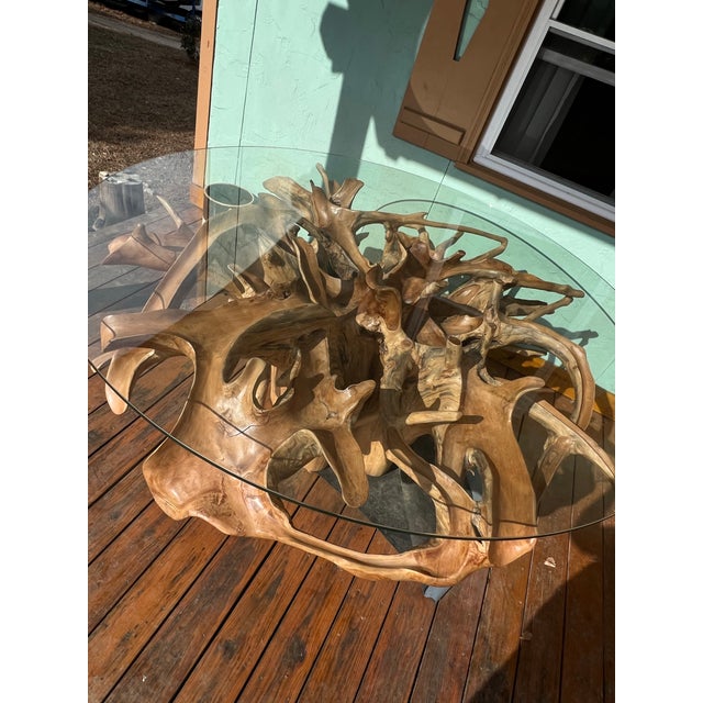Massive Teak Root Table W/ Removable Glass Top For Sale In Charlotte - Image 6 of 8