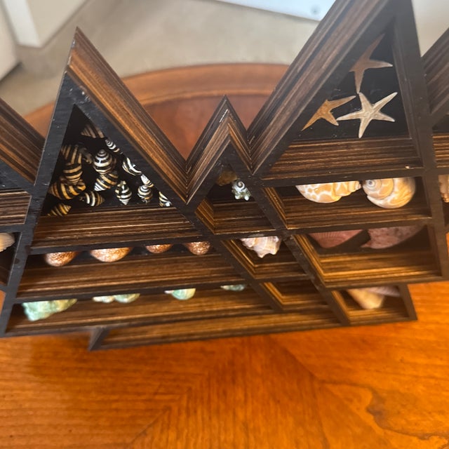 Wood Seashell Display in Geometric Wall Curio For Sale - Image 7 of 12