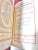 Antique 1902 Little Masterpieces of Science Book Set – Red Gilt Decorative Library Volumes (Set of 7) For Sale - Image 9 of 12