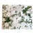 8 Yds Bob Collins Carnival of Roses Cotton Chintz For Sale In Miami - Image 6 of 6