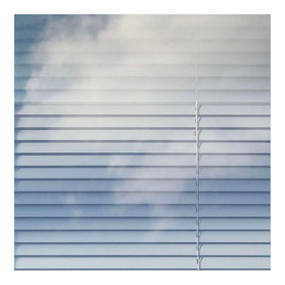 Throughline Series #2, 2024, Ed. 1/5 - Contemporary Photographic Resin Art by Isabelle Schneider For Sale