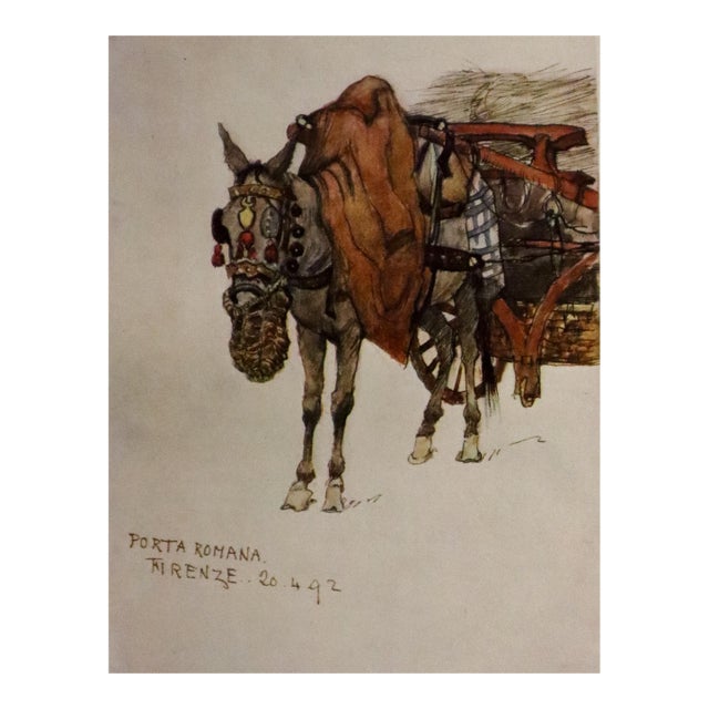 1905 Italian Original Print - Study of Mule - From Book Florence & Some Tuscan Cities (1905) For Sale