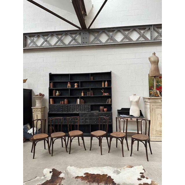 Set of 6 bentwood and cane bistro chairs by FISCHEL (stamped under the seat). The cane is in perfect condition; there are...