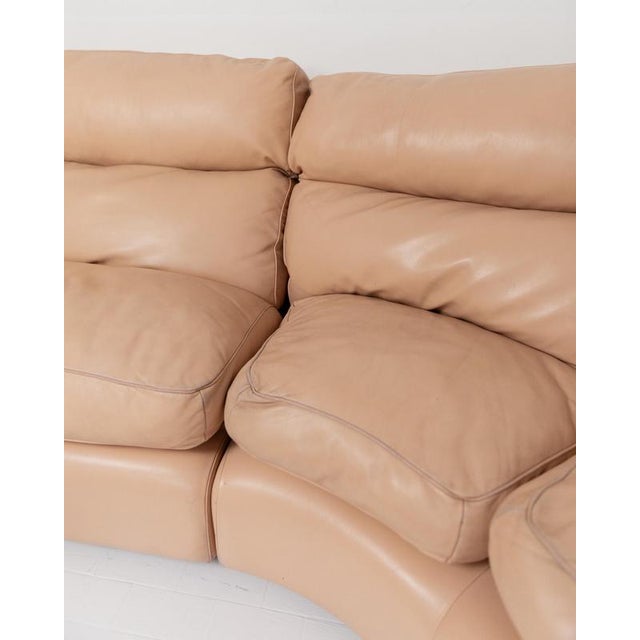 Vintage Modular Leather Sofa by Tito Agnoli for Poltrona Frau, 1970s, Set of 3 For Sale - Image 5 of 17