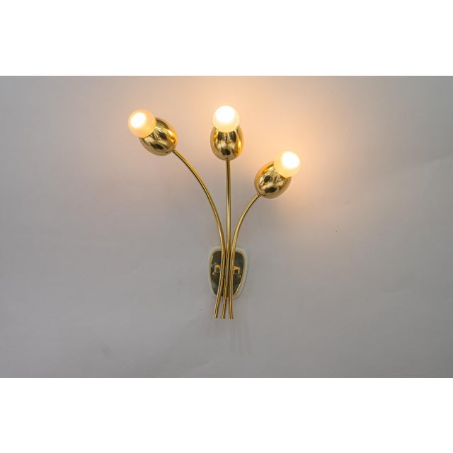 Mid-Century Modern Wall Sconces by Rupert Nikoll for Rupert Nikoll, Vienna, 1950s For Sale - Image 3 of 9