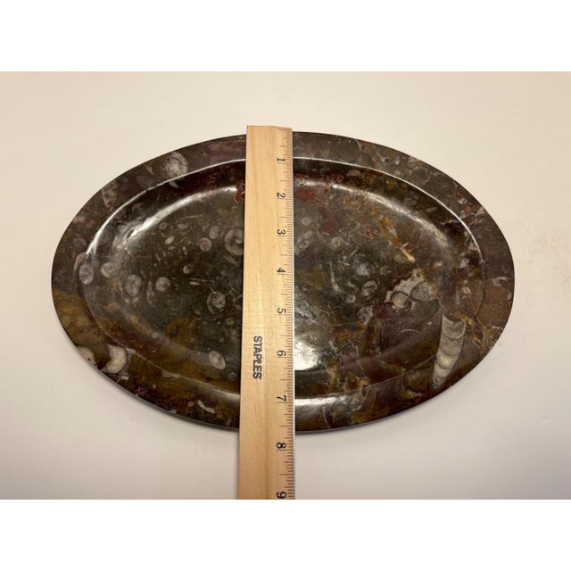 Stone 1970s Rare Stone Fossil Plate Orthoceras Sea Shell Polished Brown Ammonite For Sale - Image 7 of 7