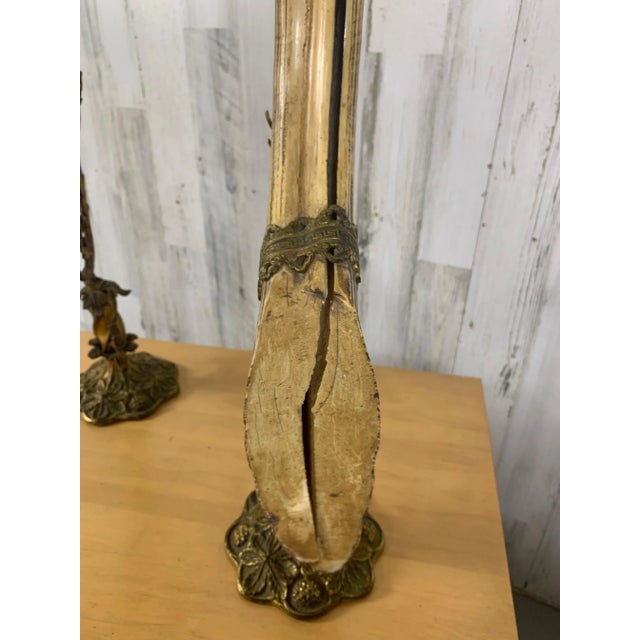 Antique Wild Boar Trophies For Sale - Image 12 of 12